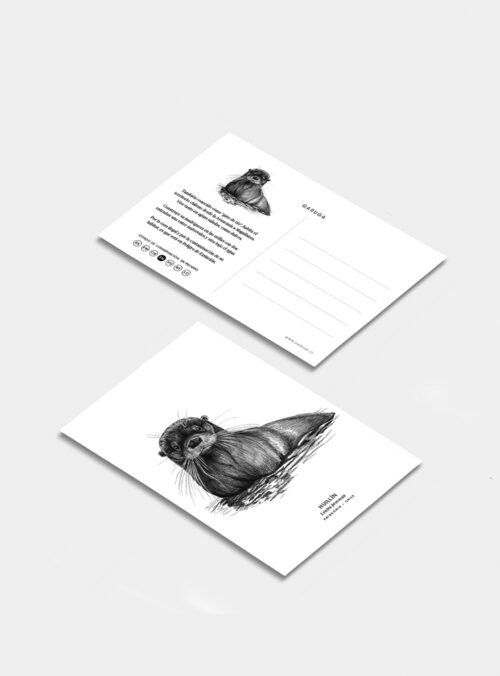 Postal - Huillín