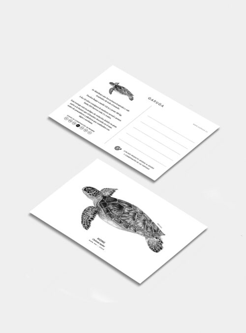 Postal - Tortuga verde