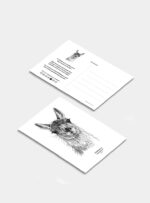 Postal - Guanaco