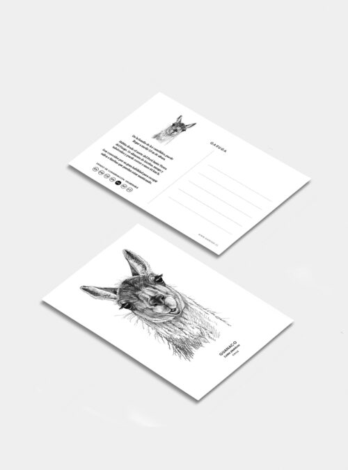 Postal - Guanaco