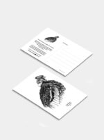 Postal - Cóndor