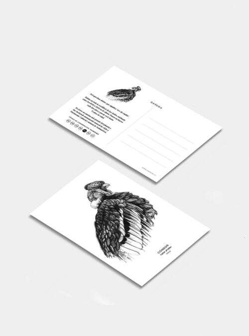 Postal - Cóndor