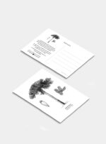 Postal - Araucaria