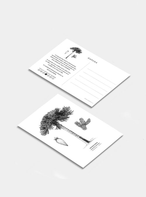 Postal - Araucaria