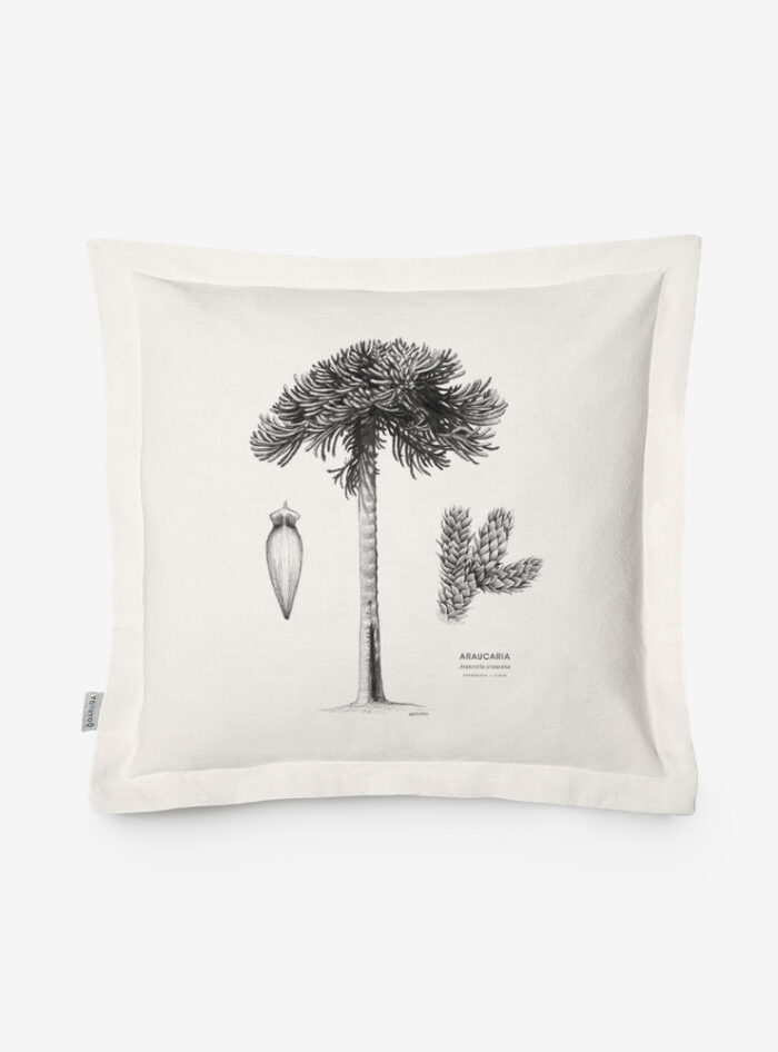 Funda Cojín- Araucaria