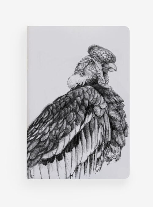 Libreta - Cóndor
