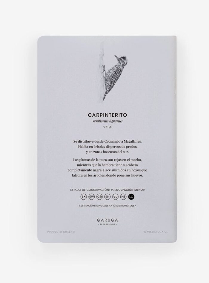 Libreta - Carpinterito