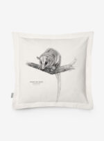 Funda Cojín- Monito del monte