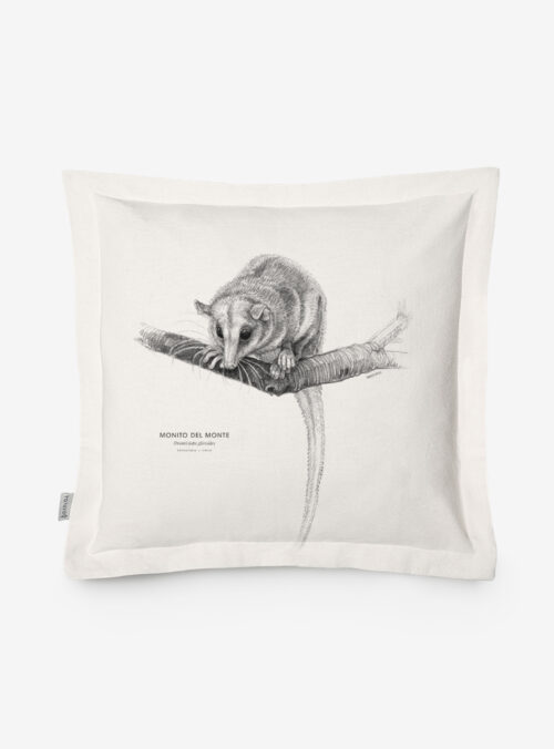 Funda Cojín- Monito del monte