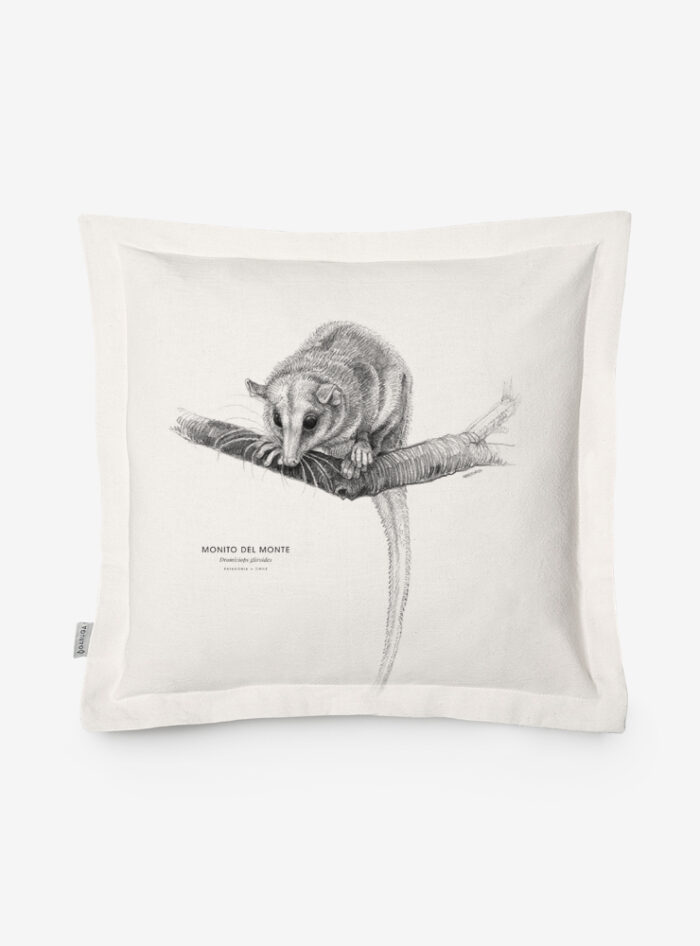 Funda Cojín- Monito del monte