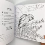 Libro colorear Imperfecto