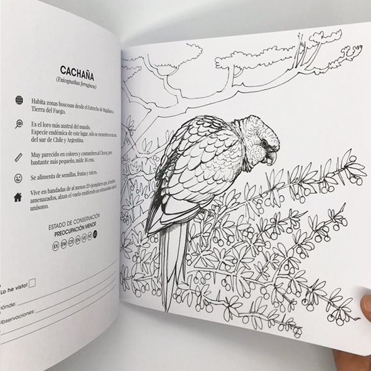 Libro colorear Imperfecto