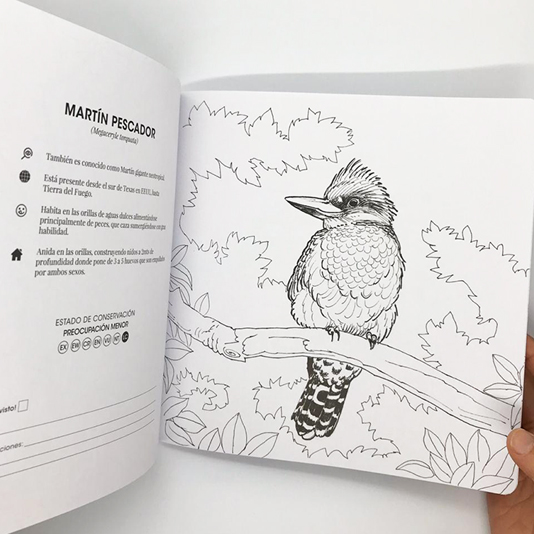 Libro colorear Imperfecto