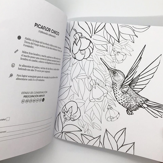 Libro colorear Imperfecto