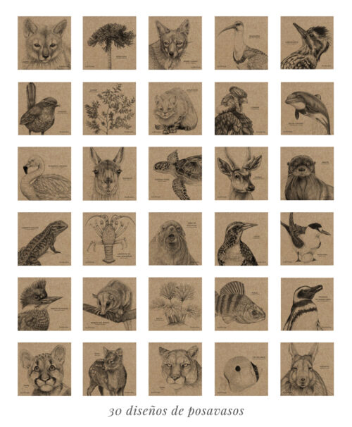 interiorposavasos