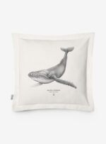 Funda Cojín- Ballena Jorobada