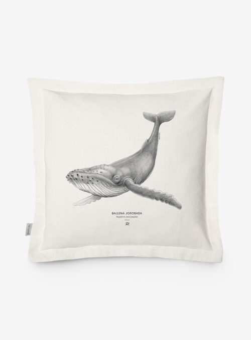 Funda Cojín- Ballena Jorobada