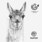 Funda Cojín- Guanaco