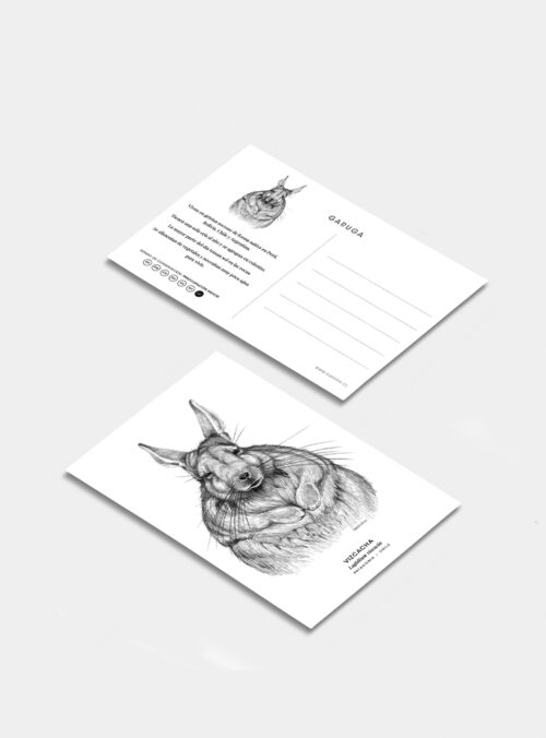 Postal - Vizcacha