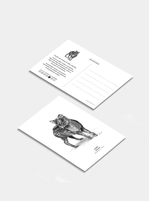 Postal - Pudú