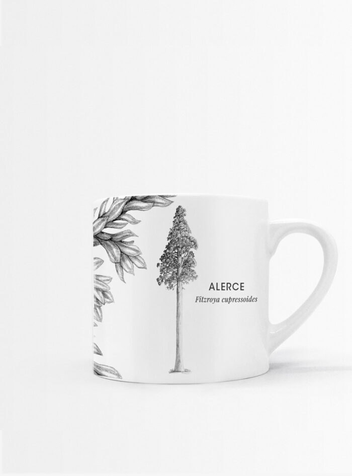 Set 4 Tazas Hojas