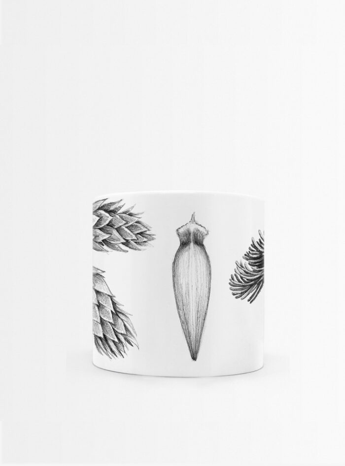 Set 4 Tazas Hojas