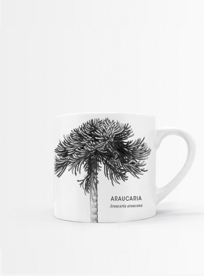 Set 4 Tazas Hojas