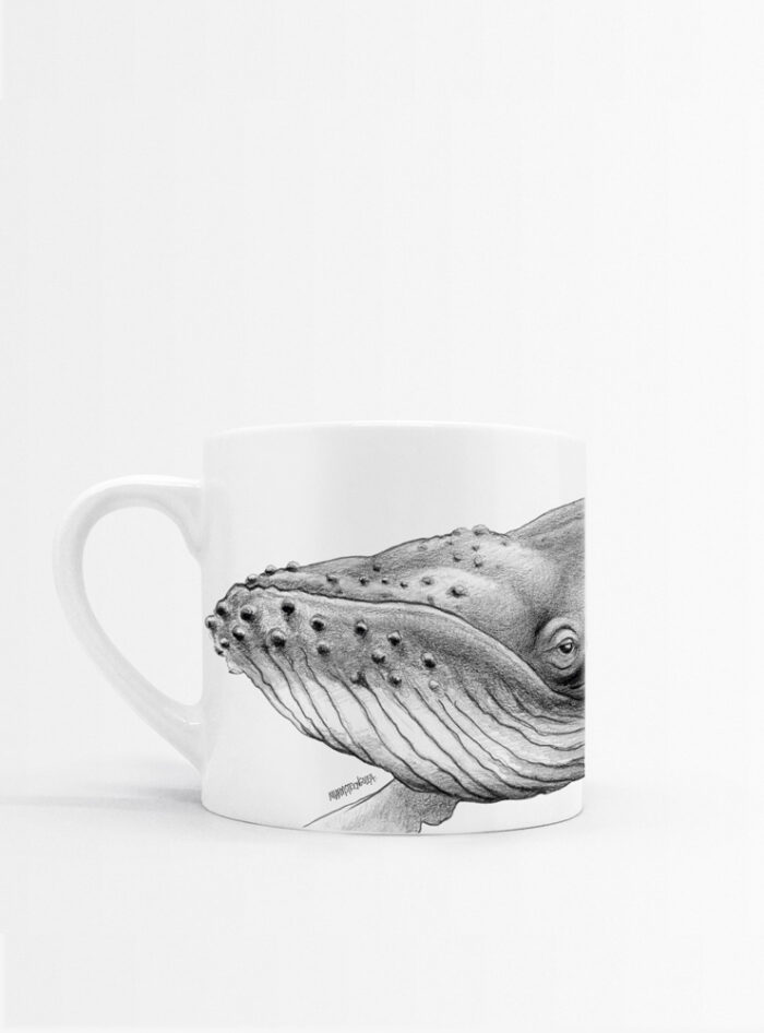 Set 4 Tazas Mares