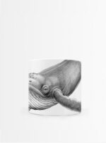 Set 4 Tazas Mares