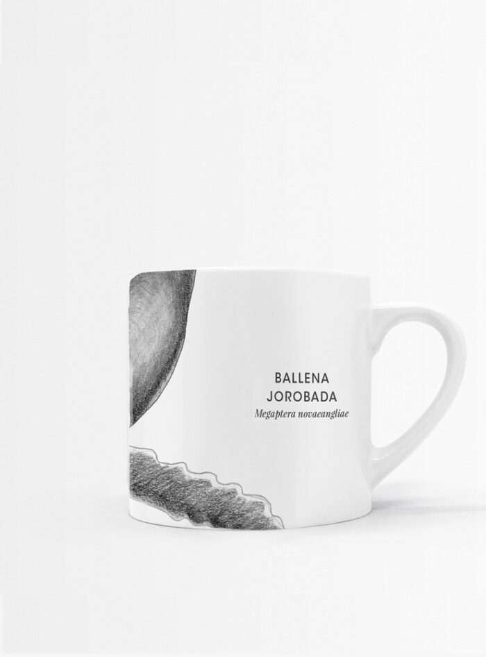 Set 4 Tazas Mares