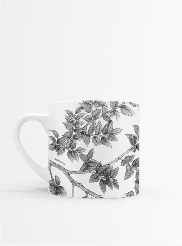 Set 4 Tazas Hojas