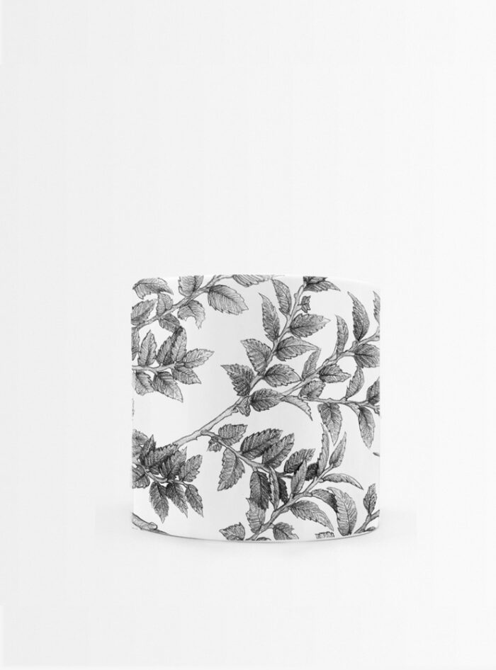 Set 4 Tazas Hojas