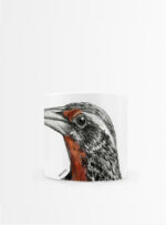 Set 4 Tazas Plumas