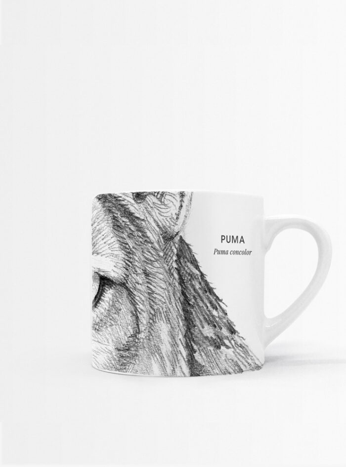 Set 4 Tazas Mamíferos