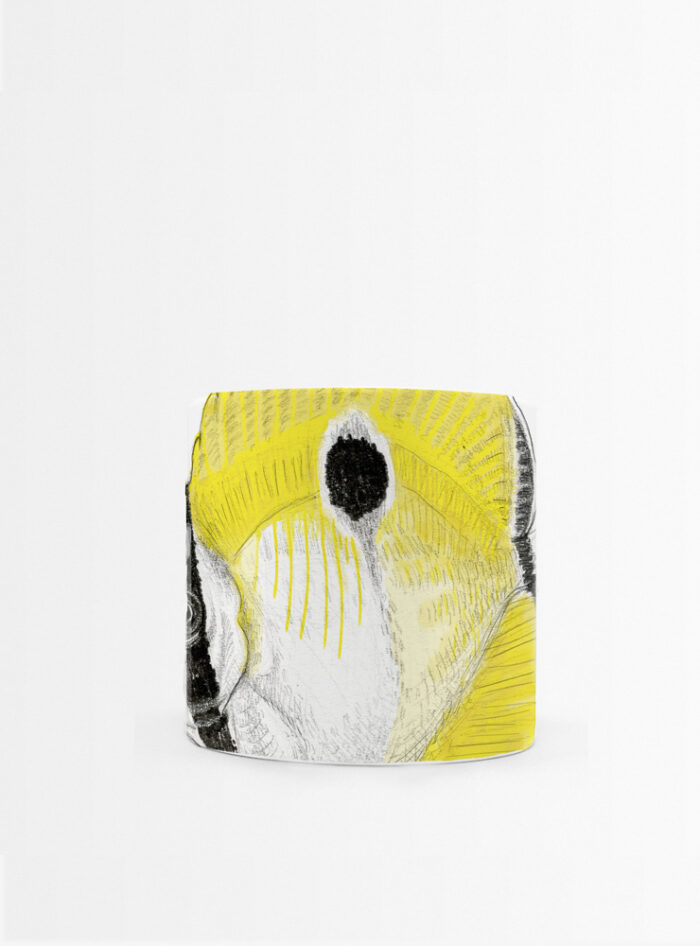 Set 4 Tazas Mares