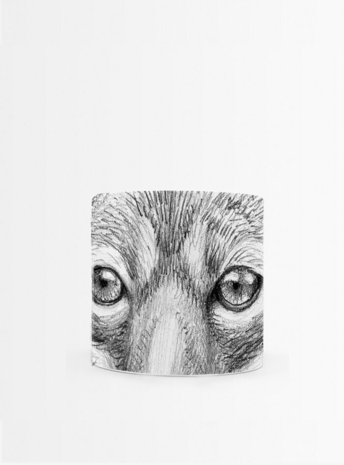 Set 4 Tazas Mamíferos