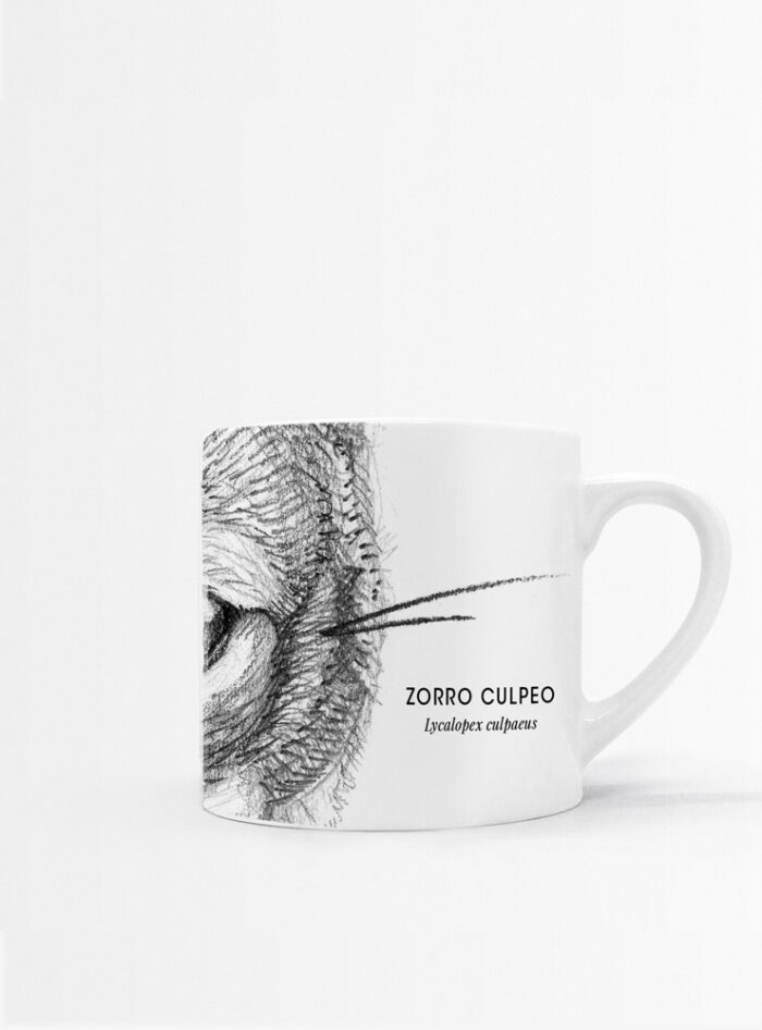 Set 4 Tazas Mamíferos