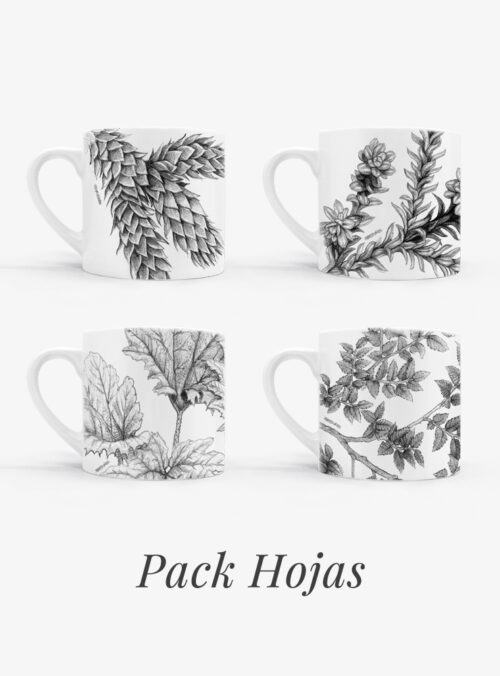Set 4 Tazas Hojas