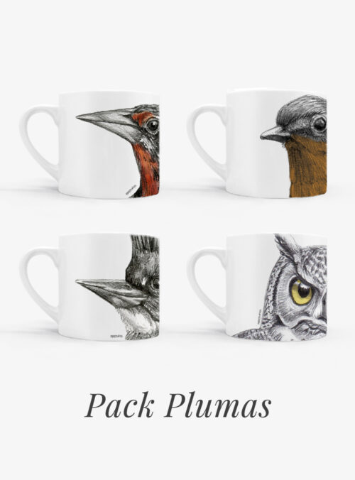 Set 4 Tazas Plumas