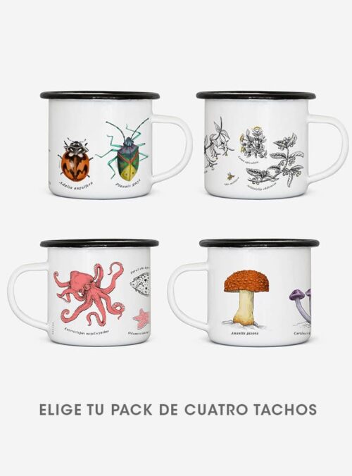 Pack 4 Tachos Enlozados