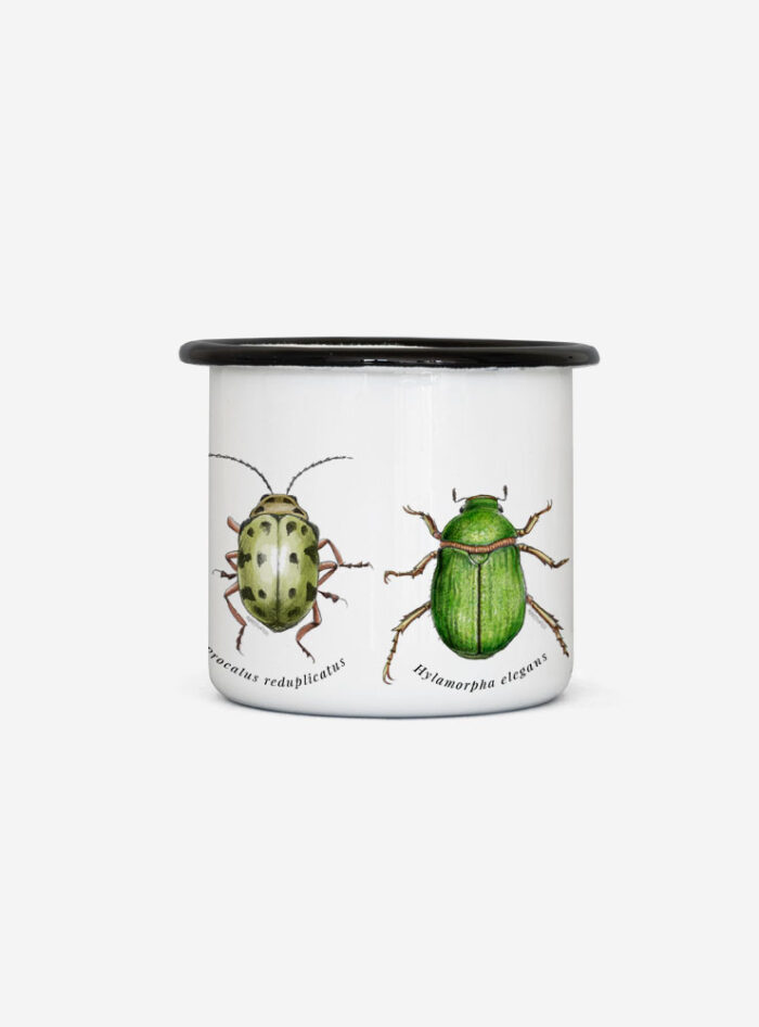 Tacho Enlozado Insectos