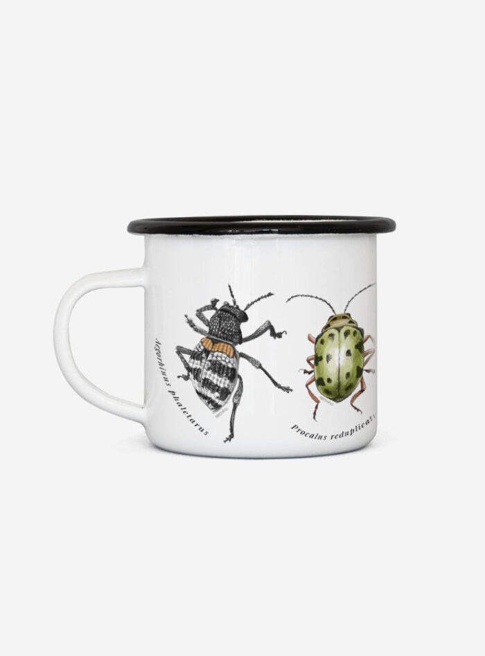 Tacho Enlozado Insectos