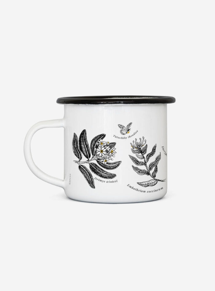 Tacho Enlozado Polinización