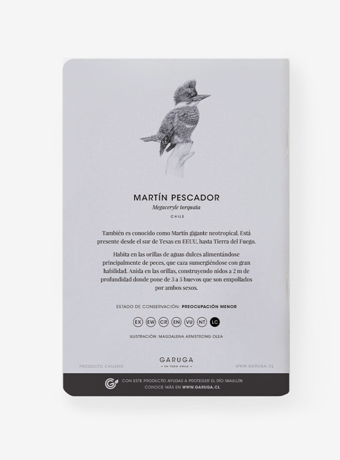 Libreta - Martín pescador