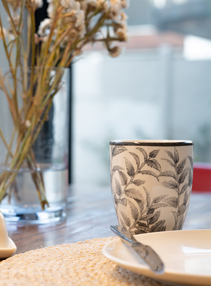 Set 6 Mugs Porcelana Coihue