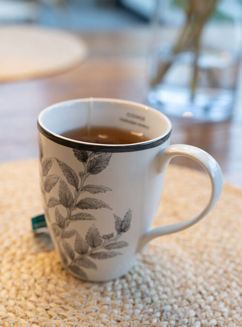 Set 6 Mugs Porcelana Coihue
