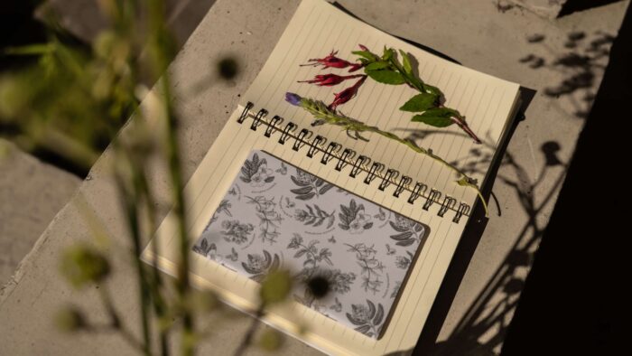 Cuaderno Zorro Culpeo