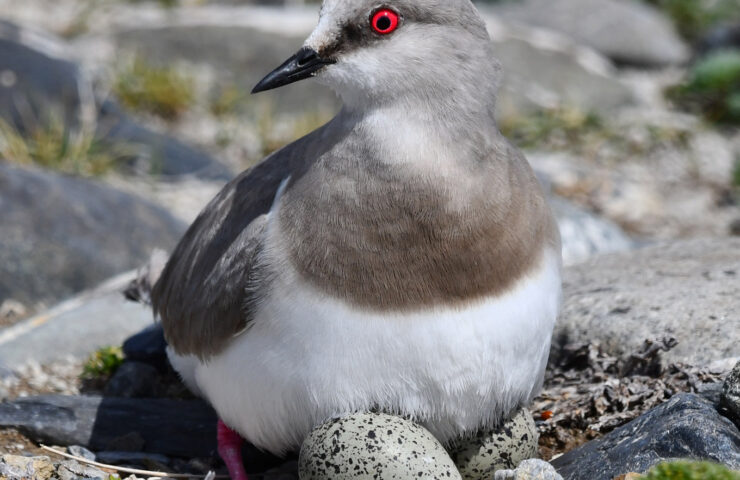 DSC_7403_(baja)