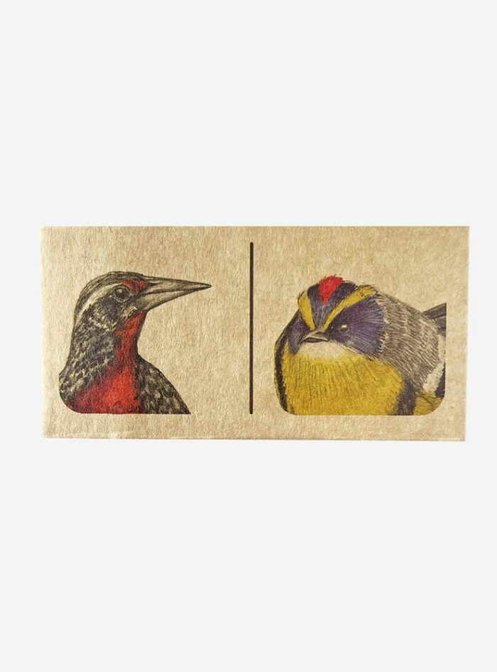 JUEGO DOMINÓ AVES DE CHILE