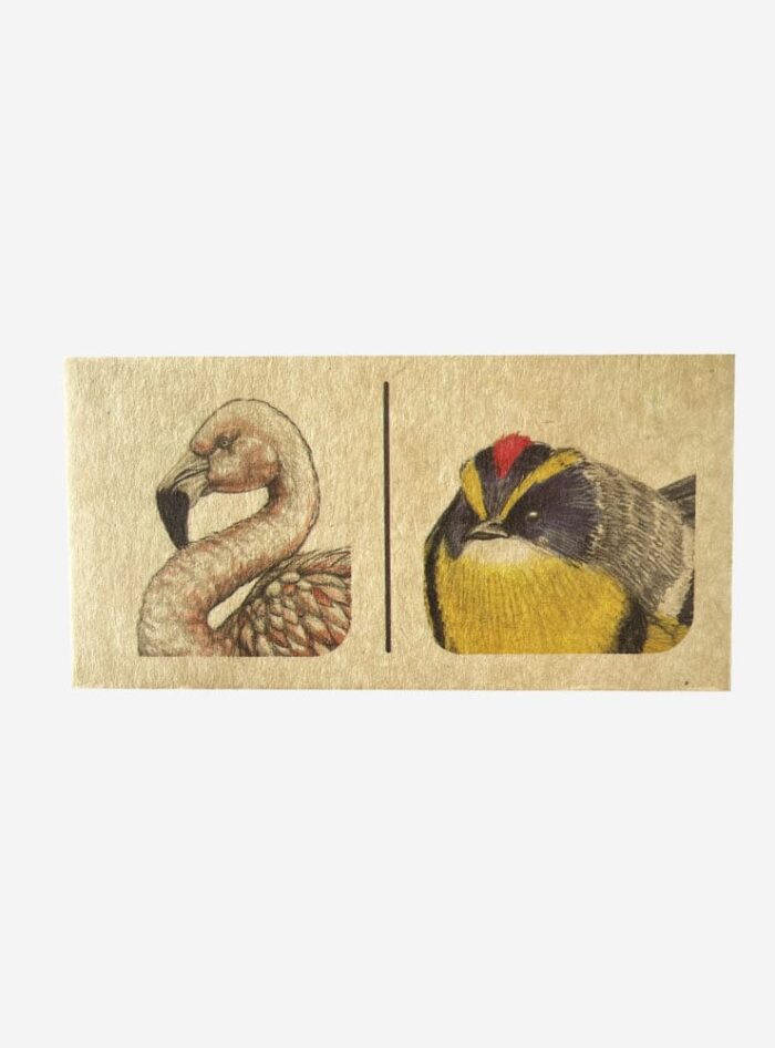 JUEGO DOMINÓ AVES DE CHILE